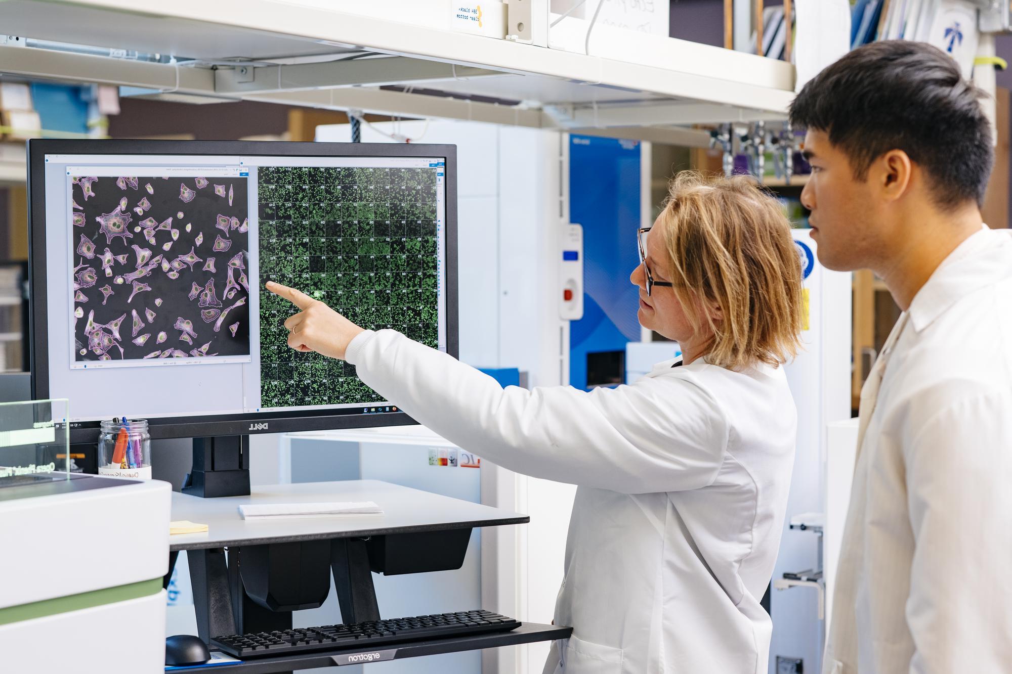 Two scientists studying and screen with images on them.