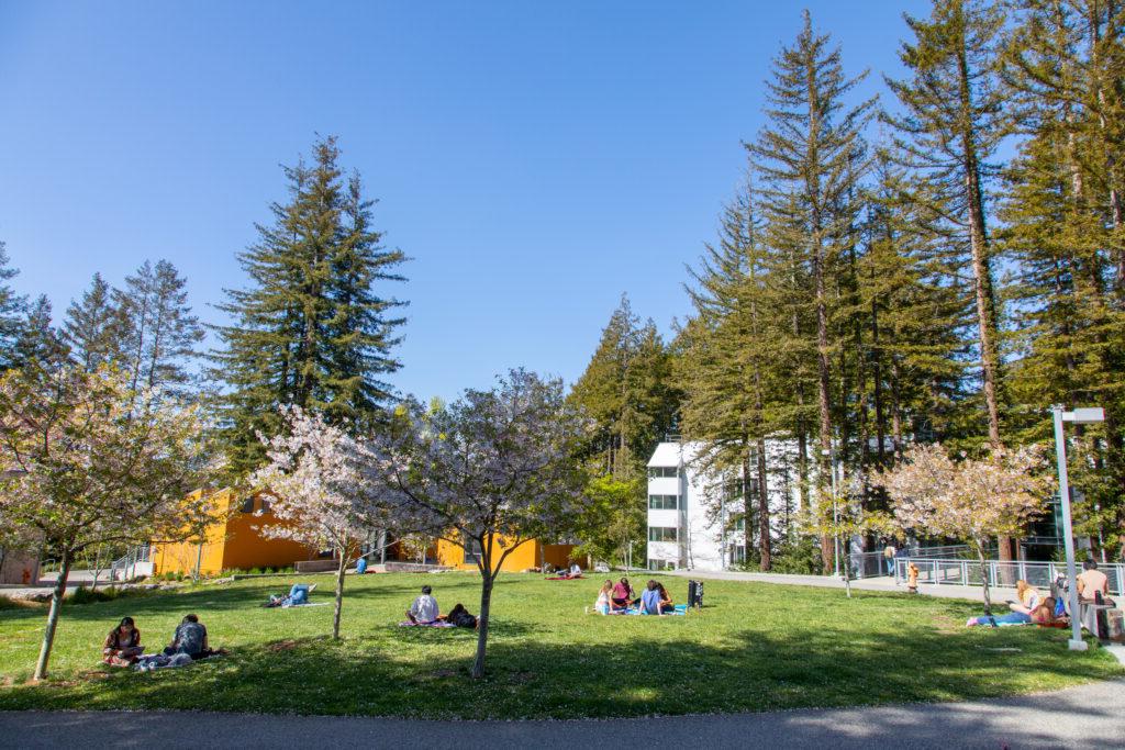 People sitting outside at Merrill College on the grass with buildings and trees all around.